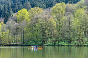 Forest in spring with river neckar and three rowboat, Zwingenberg, River Neckar, Neckar Odenwald District, Baden-Württemberg, Germany Forest in spring with river neckar and three rowboat, Zwingenberg, River Neckar, Neckar Odenwald District, Baden-Württemberg, Germany